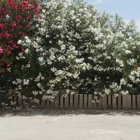 Дом отдыха Casa Ammare